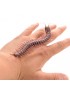 Centipede Style Insect Joke Toy - 1pc / set