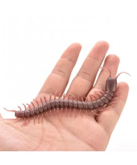 Centipede Style Insect Joke Toy - 1pc / set